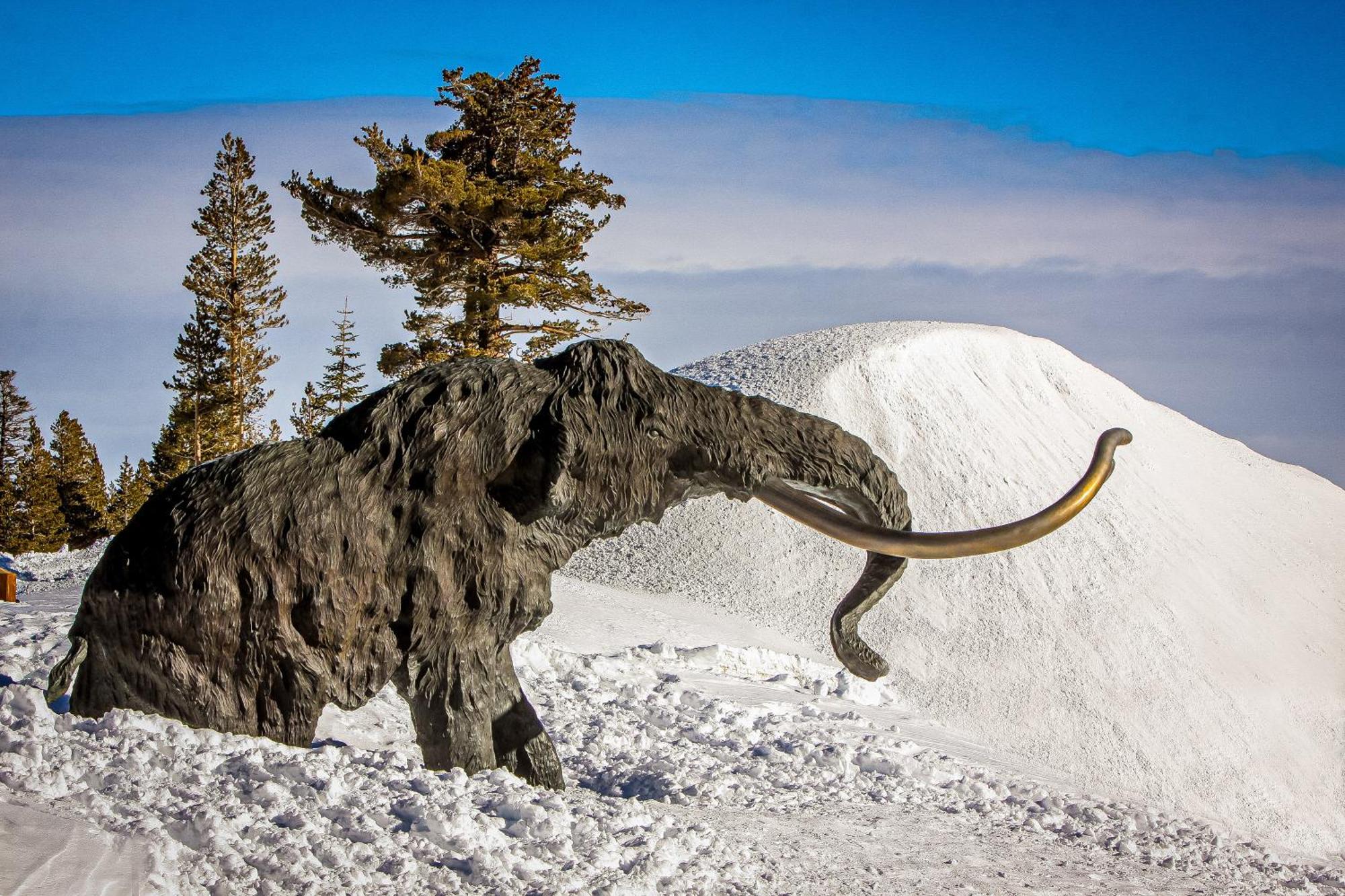 Mammoth Ski & Racquet Club #131 Μαμούθ Λέικς Εξωτερικό φωτογραφία